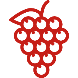 Viñedo